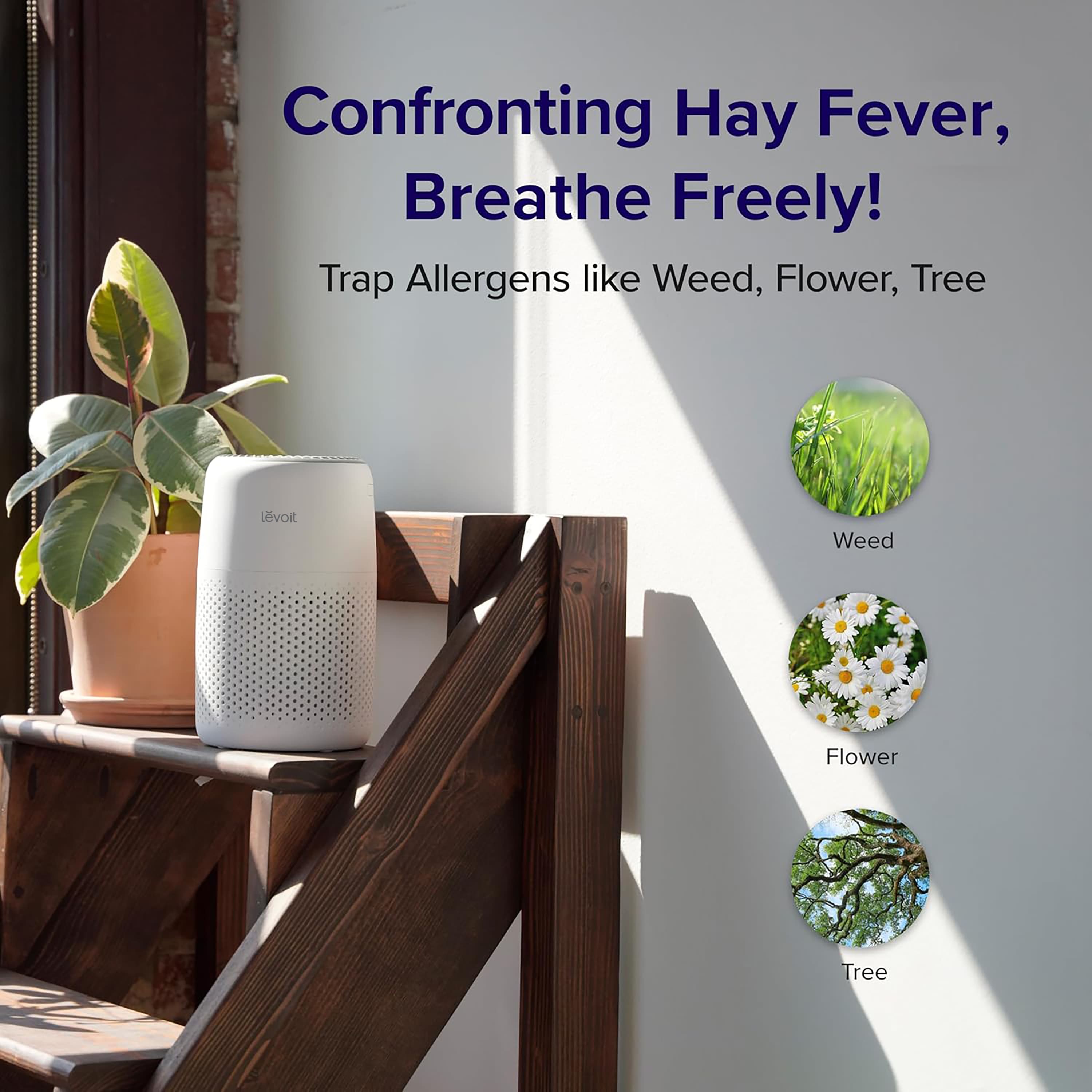 Levoit Core Mini Air Purifier with Night Light