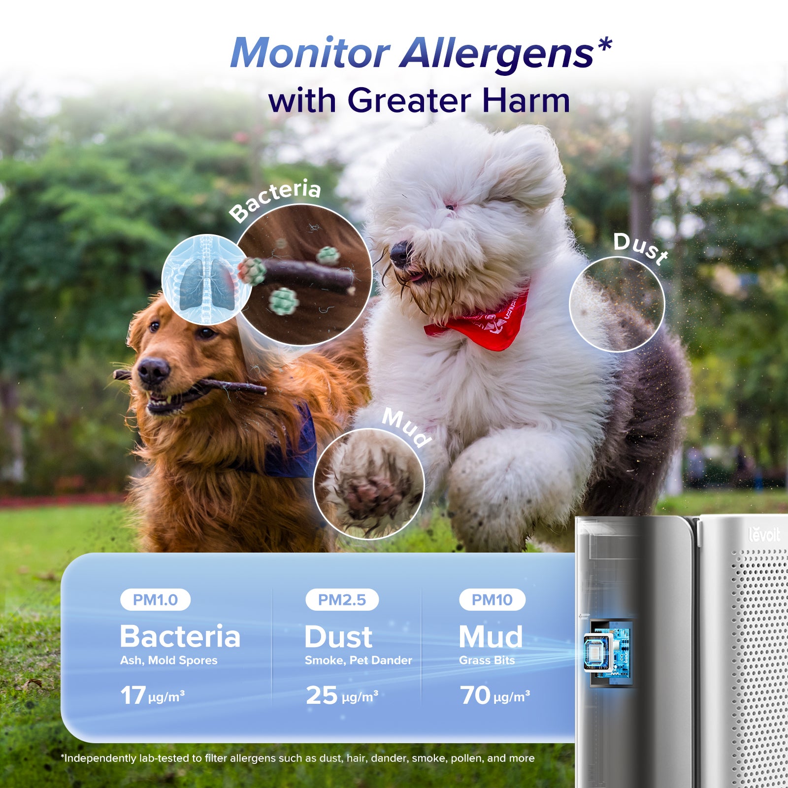 Levoit EverestAir® Smart Air Purifier